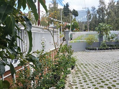 Pulmo Guesthouse Bromo