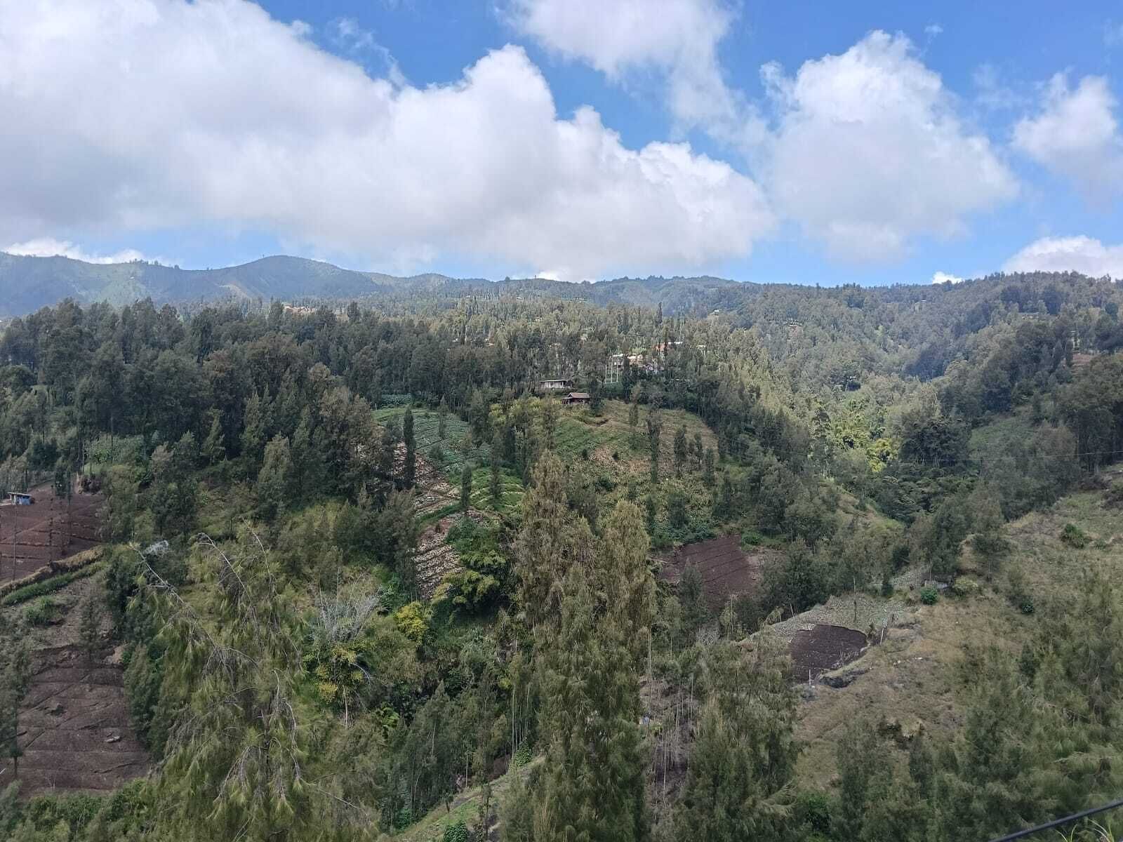 A mountainous landscape with dense forests, a few buildings, and a clear sky.