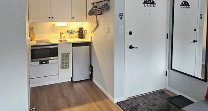 Mt Spokane ski condo