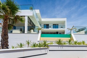 House | Exterior - Villa With Infinity Pool in Maslenica (Jasenice)