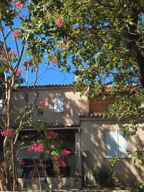 Ein rustikales Gebäude mit einem Ziegeldach, einem Balkon mit Metallgeländer und einem Baum mit rosa Blüten.