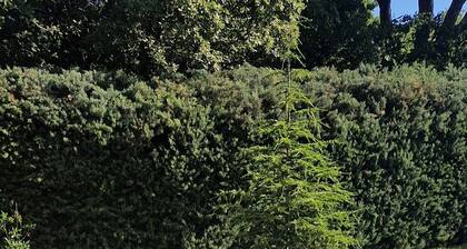 Au Mas de GĂ©GĂ©, maison đ de campagne have de paix et de sĂ©rĂ©nitĂ©