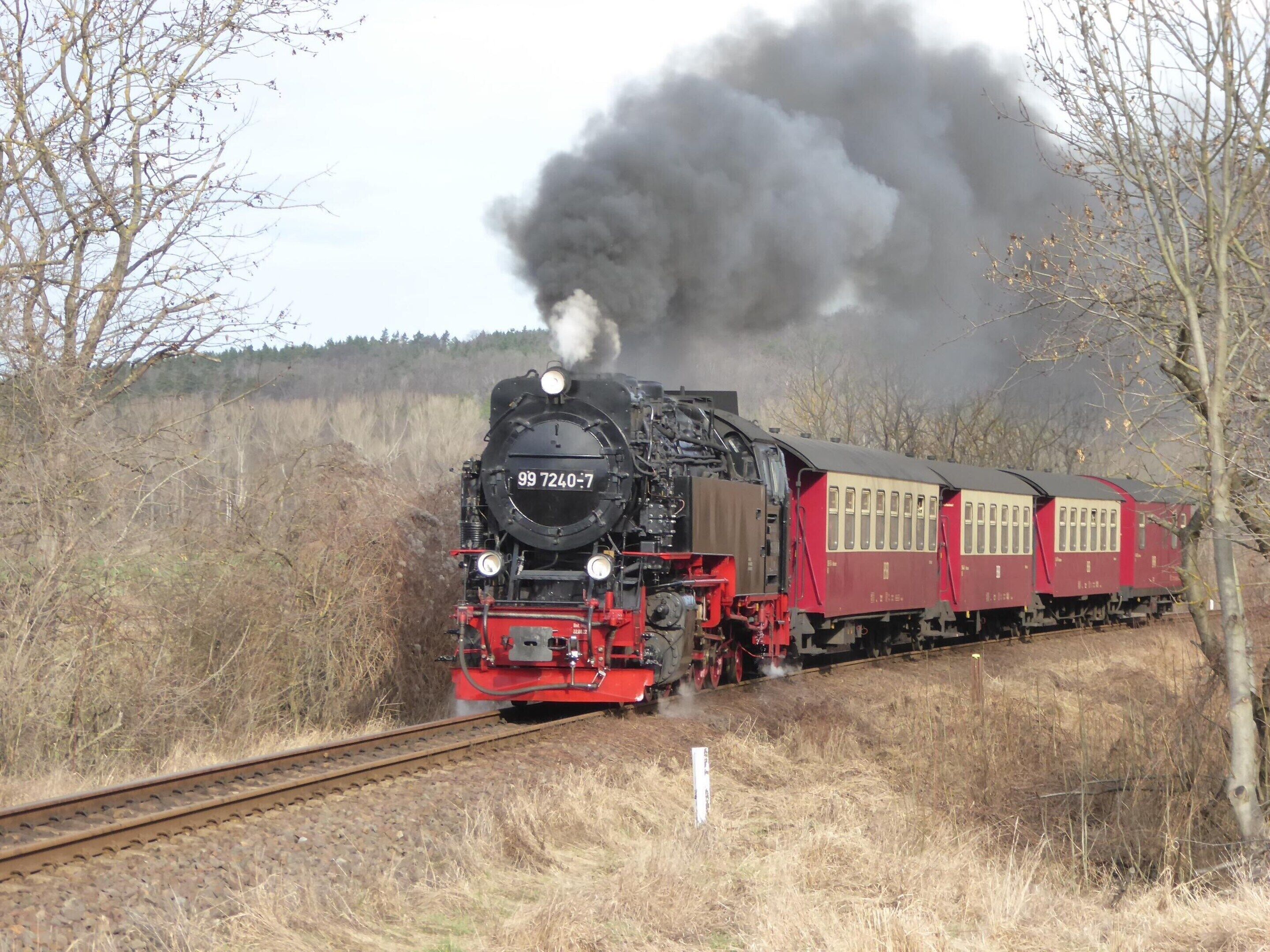 Een stoomlocomotief trekt rode passagierswagons over een rails, omgeven door droog gras en bomen.