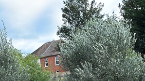 Slaapzaal, 1 slaapkamer, roken, uitzicht op tuin | Terras