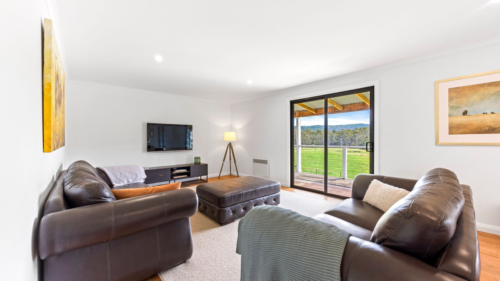 智能電視、壁爐、書籍