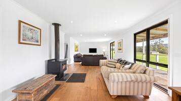 Smart TV, fireplace, books