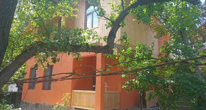 eco cottage in borjomi/ villa green garden borjomi