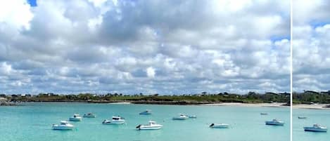 Une vue sur la côte, avec des bateaux sur une eau turquoise, un rivage rocheux et une végétation luxuriante.