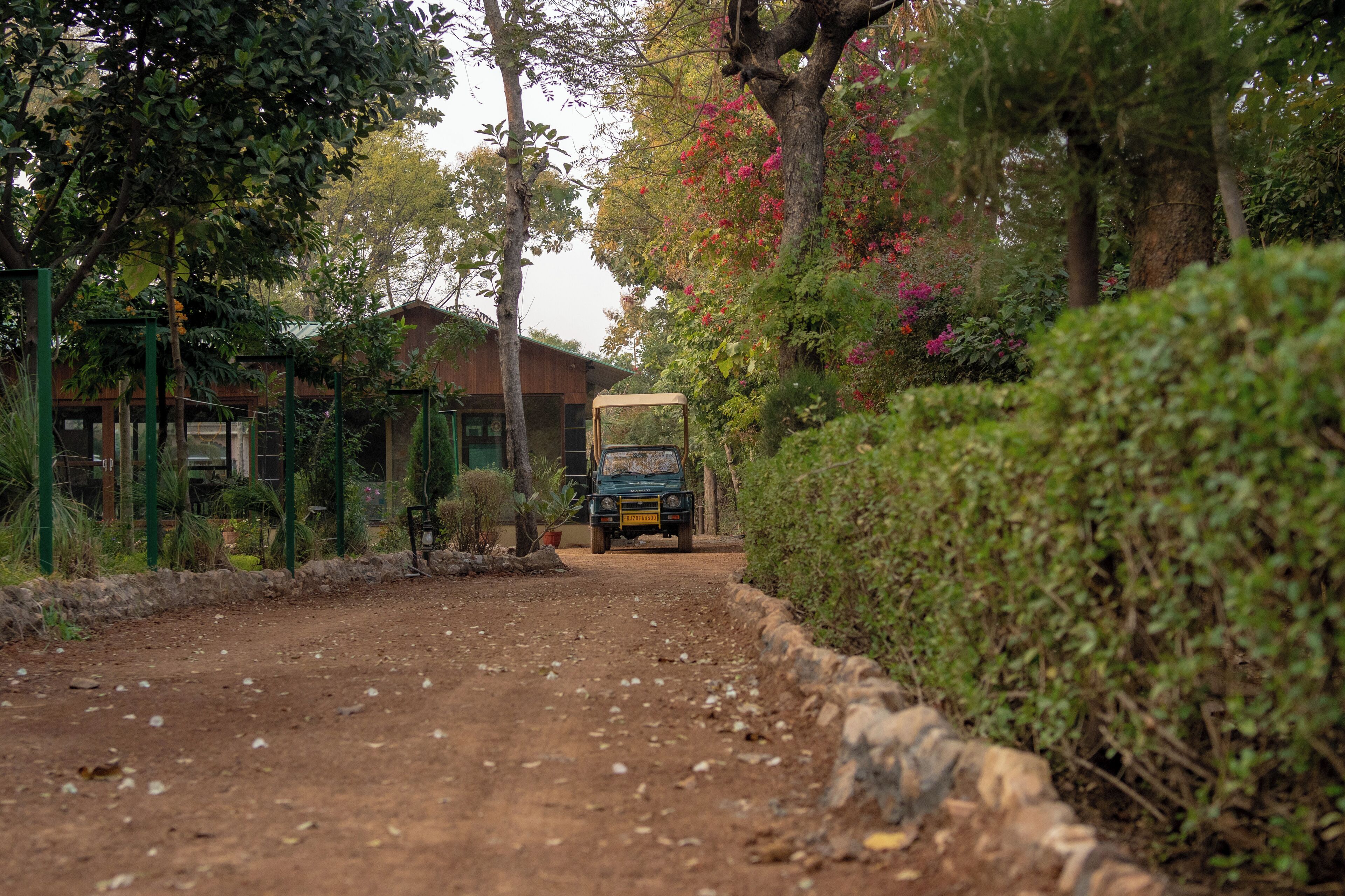 A dirt road leading to a building surrounded by lush greenery and trees.