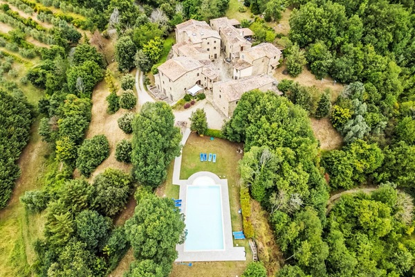 Blatt, Grün, Gelb, Baum, Natur, Natürlichen Umgebung, Ast, Vegetation, Natürliche Landschaft, Wiese