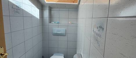 Une petite salle de bain avec un puits de lumière, des toilettes, une petite poubelle et un radiateur.