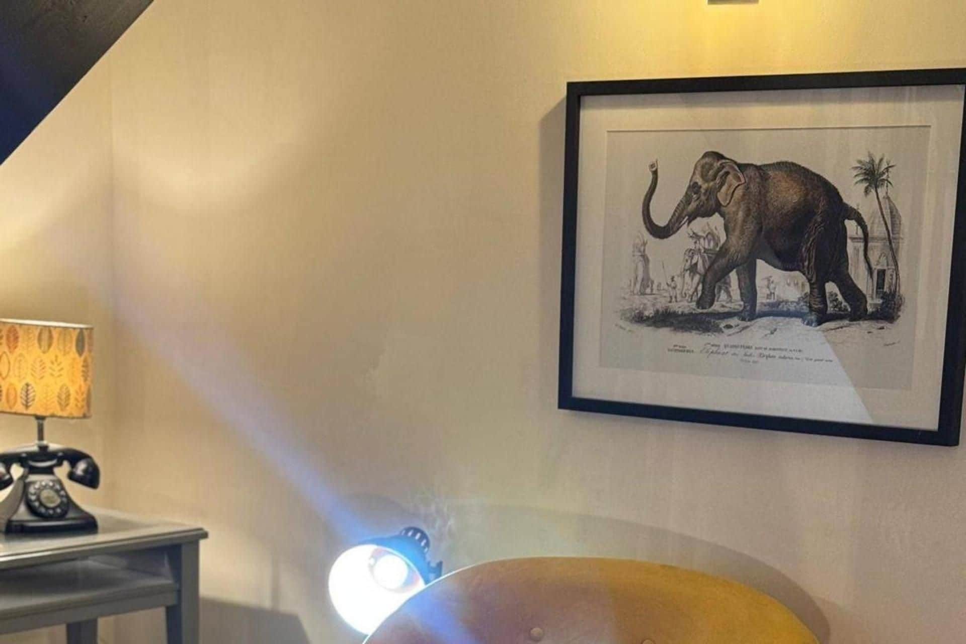 A framed elephant illustration on a wall, a lamp, and a table with a telephone.