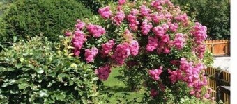 Ferieleilighet med 2 soverom