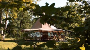 A rustic wooden pavilion with a conical roof, surrounded by a grassy area and trees. - 6-person holiday home for relaxing retreat. (Balkbrug)