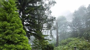 Gambar tidak terklasifikasi, 2 dari 67, tombol