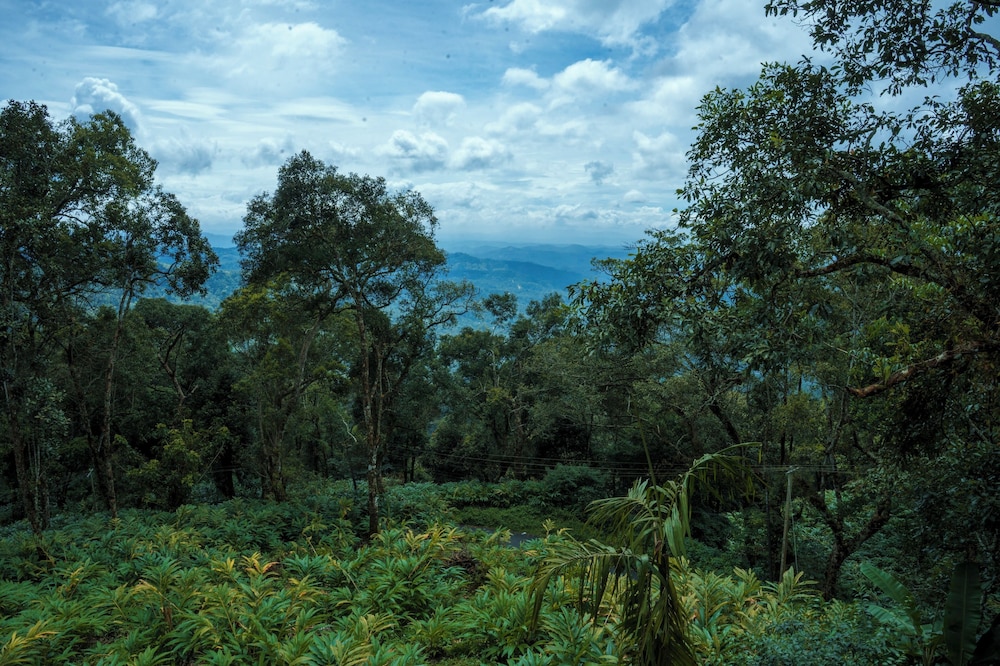 Bracknell Forest Resort by null