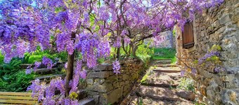 Maison d'hôtes - Mas de Boissière
