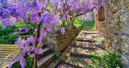 Maison d'hôtes - Mas de Boissière