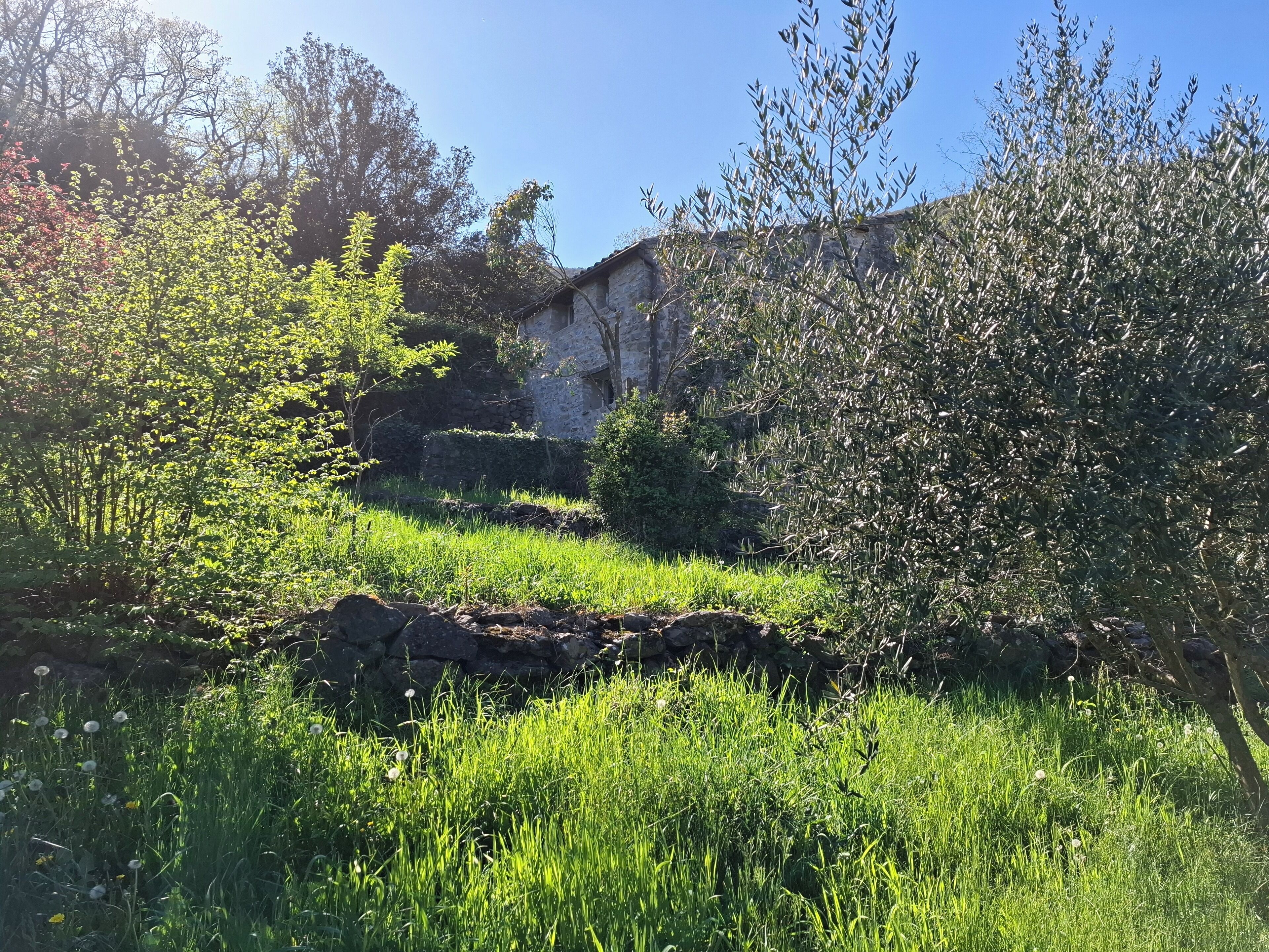 Un edificio de piedra rodeado de abundante vegetación y árboles.