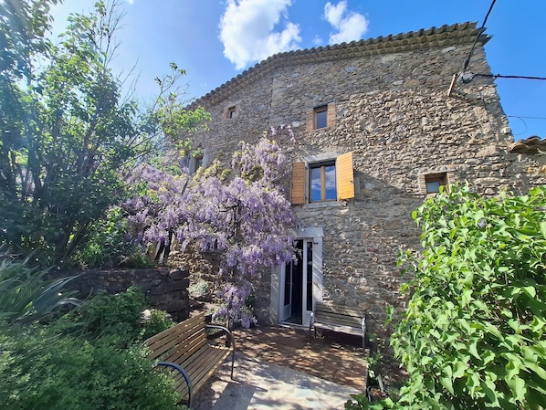A stone building with a wooden bench and purple flowering trees in front.
