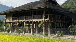 Une maison traditionnelle en bois, dotée d’un balcon, entourée d’un champ verdoyant et luxuriant.