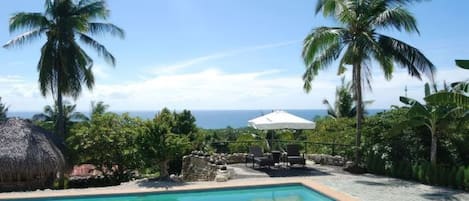 A swimming pool with a view of the ocean, surrounded by palm trees and a thatched roof structure.