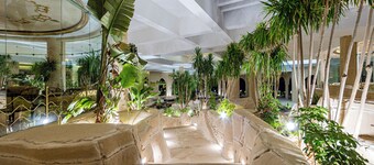 시바 골든 베이 마카디