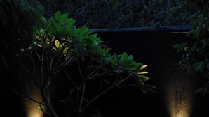 Un espacio al aire libre tenuemente iluminado, con un sendero que atraviesa una vegetación densa.