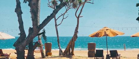 A beach scene with lounge chairs and umbrellas under trees, a clear sky, and the ocean in the background.