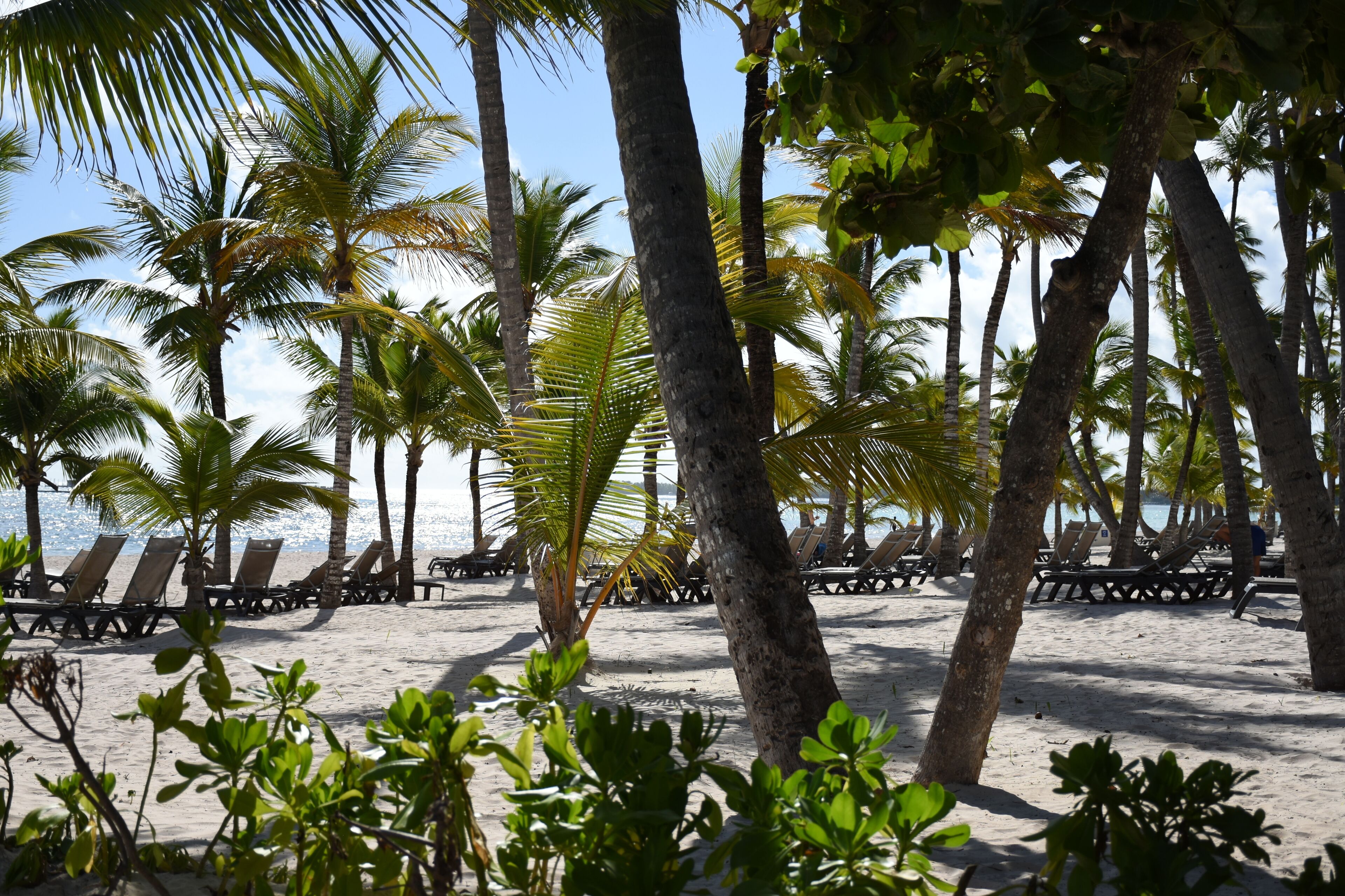 Gandules de platja i tovalloles de platja 