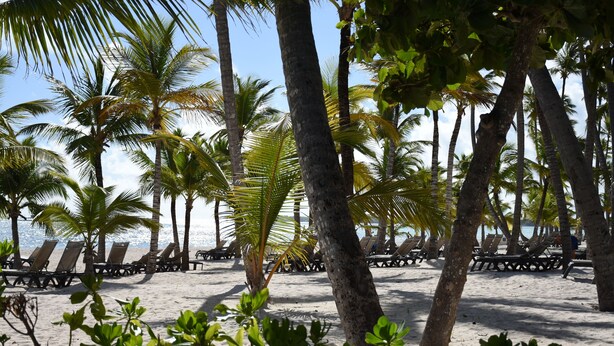 A beach with rows of sun loungers and palm trees. - Punta Cana Beach Luxury apartment 2 bedroom 4 minute walk to beach (Punta Cana)