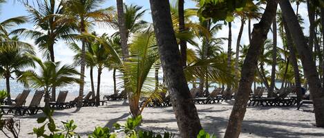 Sun loungers, beach towels