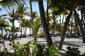 A beach with rows of sun loungers and palm trees. - Punta Cana Beach Luxury apartment 2 bedroom 4 minute walk to beach (Punta Cana)