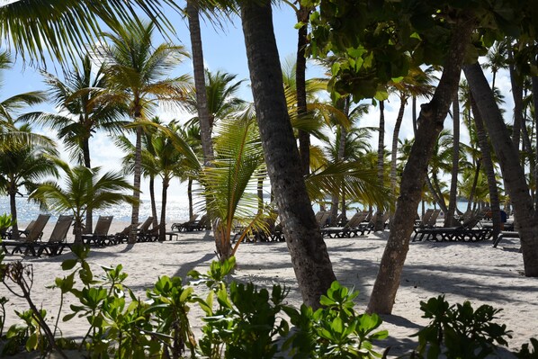 Chaises longues, serviettes de plage