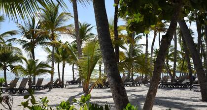 Luxury 2-bedroom apartment in charming Punta Cana with AC 4 minute walk to beach