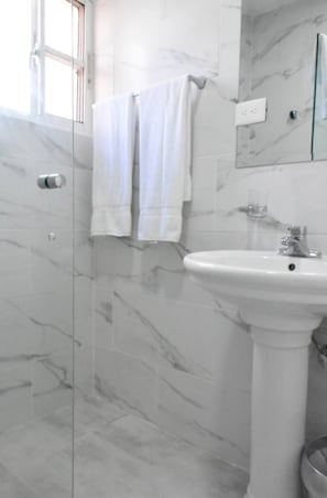 Shower, hair dryer, towels, soap