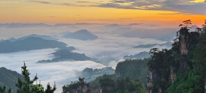 City view from property