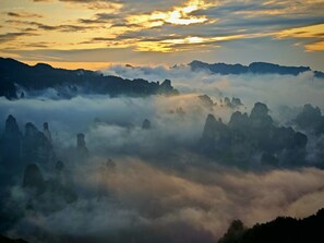 الإطلالة من المنشأة