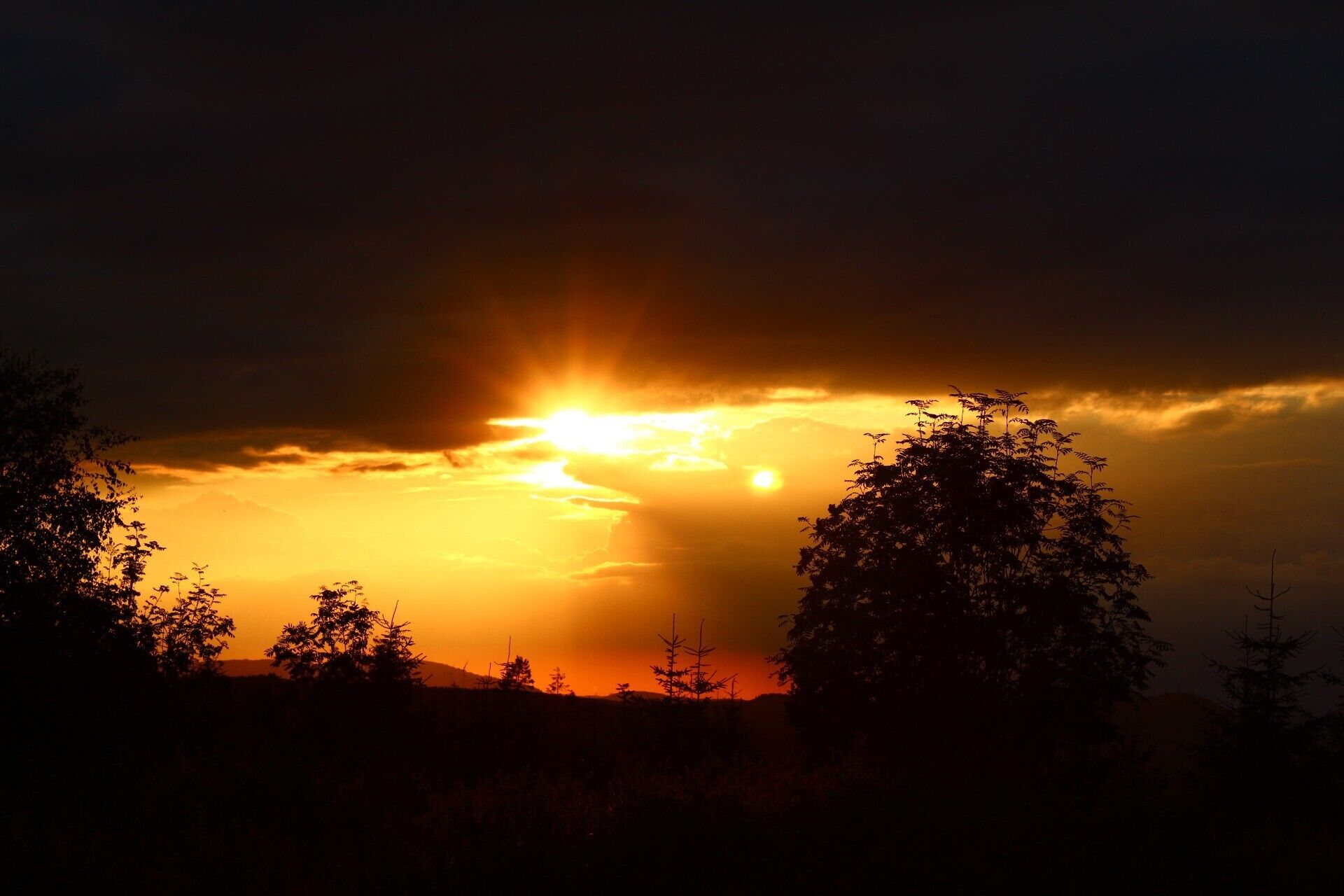 A sunset with silhouettes of trees and a mountain in the background.