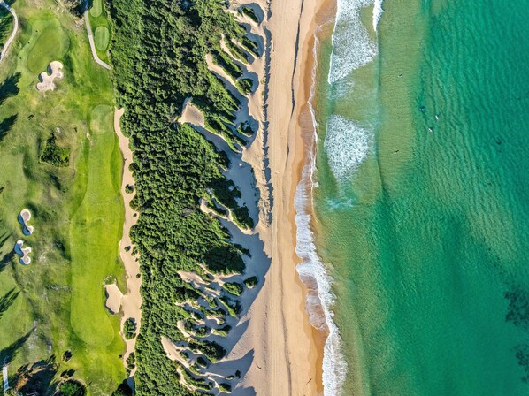 بالقرب من الشاطئ