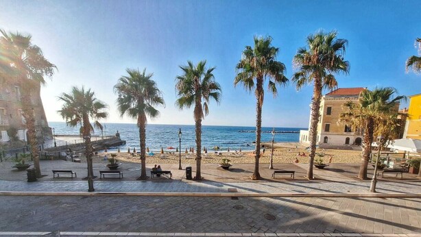 Un paseo marítimo frente a la playa con palmeras, bancos y vistas al mar.
