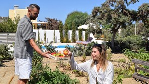 Sınıflandırılmamış resim, 36 üzerinden 3, düğme