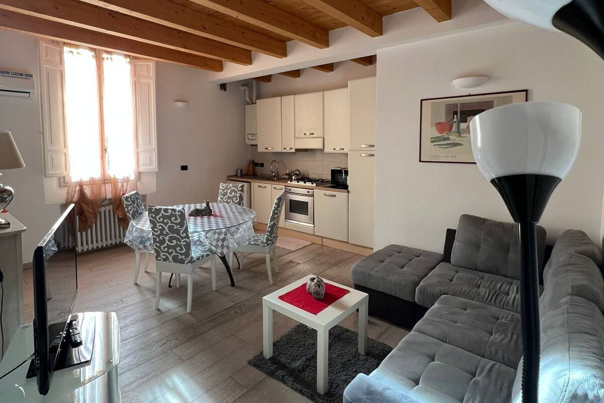 A living room with a sofa, a coffee table, a TV, and a dining area with a table and chairs.