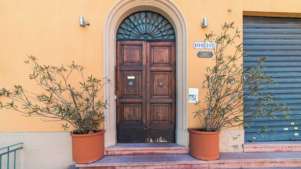 Puerta doble de madera con arco en forma de abanico, flanqueada por dos macetas.