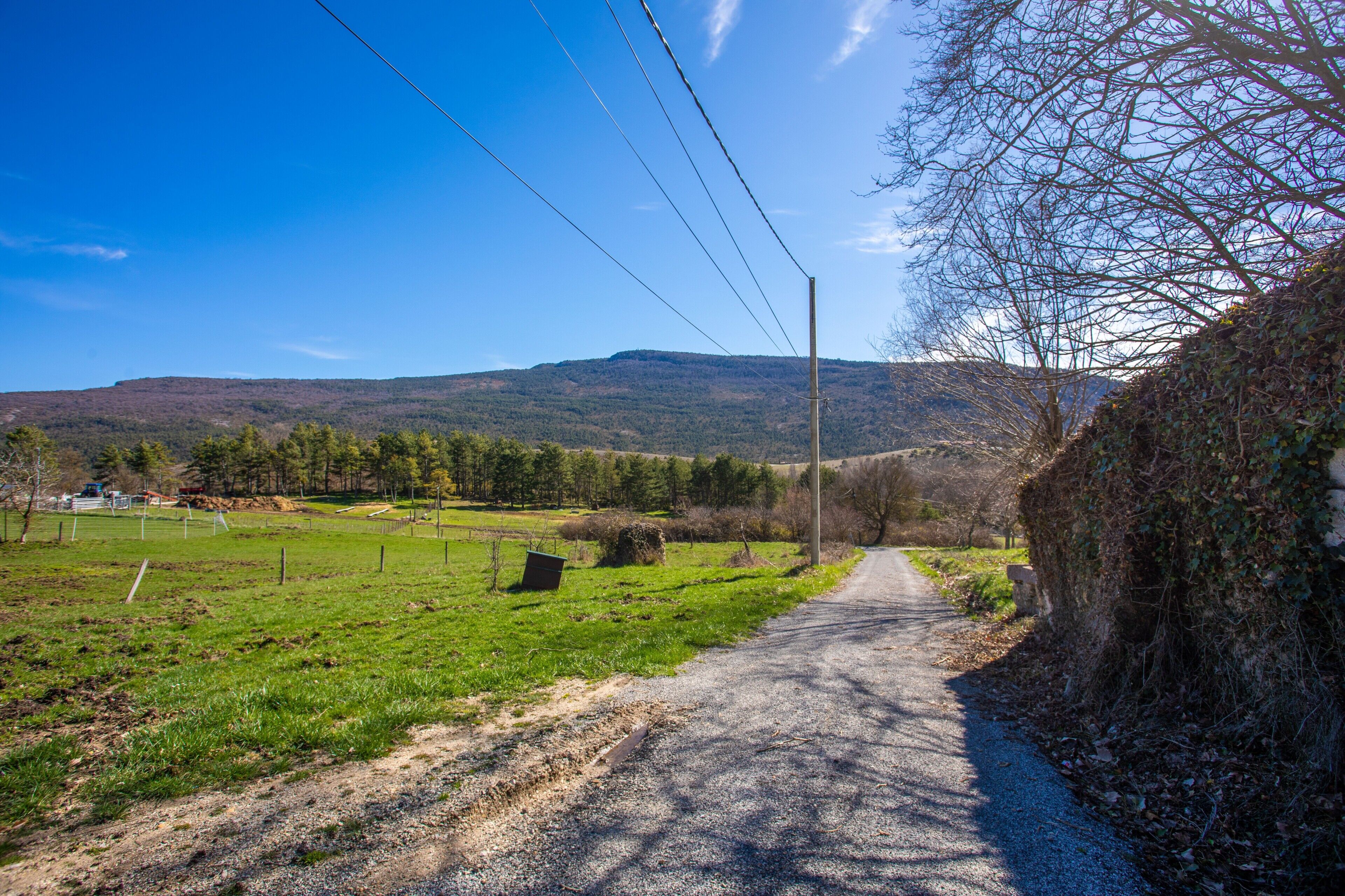 A rural road with a dirt path, a grassy field, and a mountain in the background.