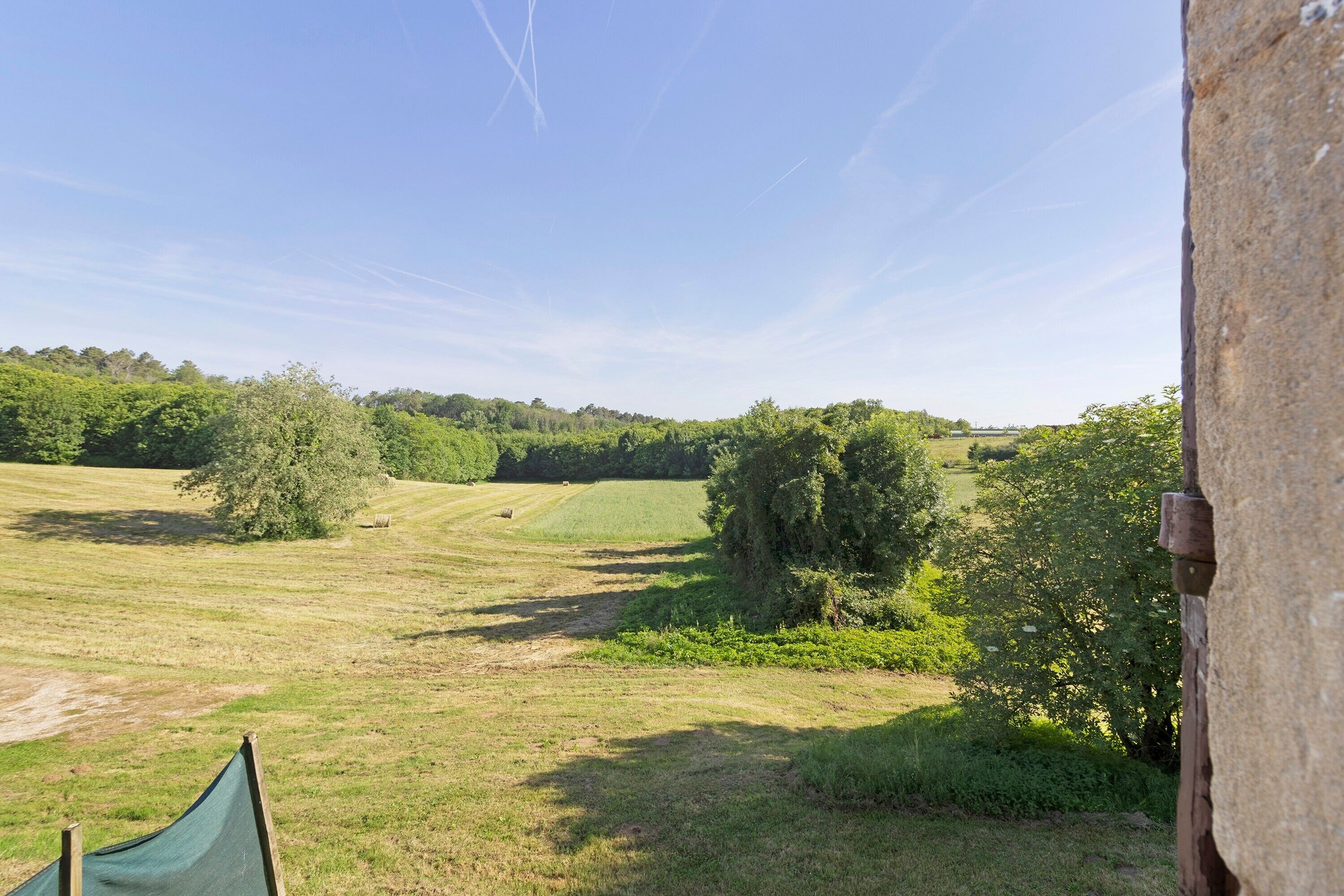 A rural landscape with a clear sky, a dirt path, and dense greenery.