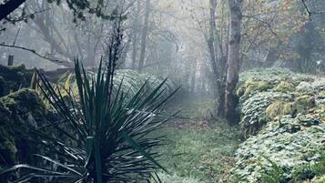 Overnatningsstedets område