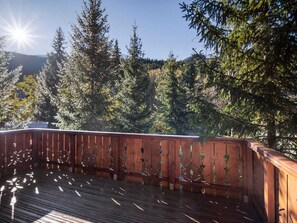 A wooden deck with metal railings, surrounded by trees and a clear sky.