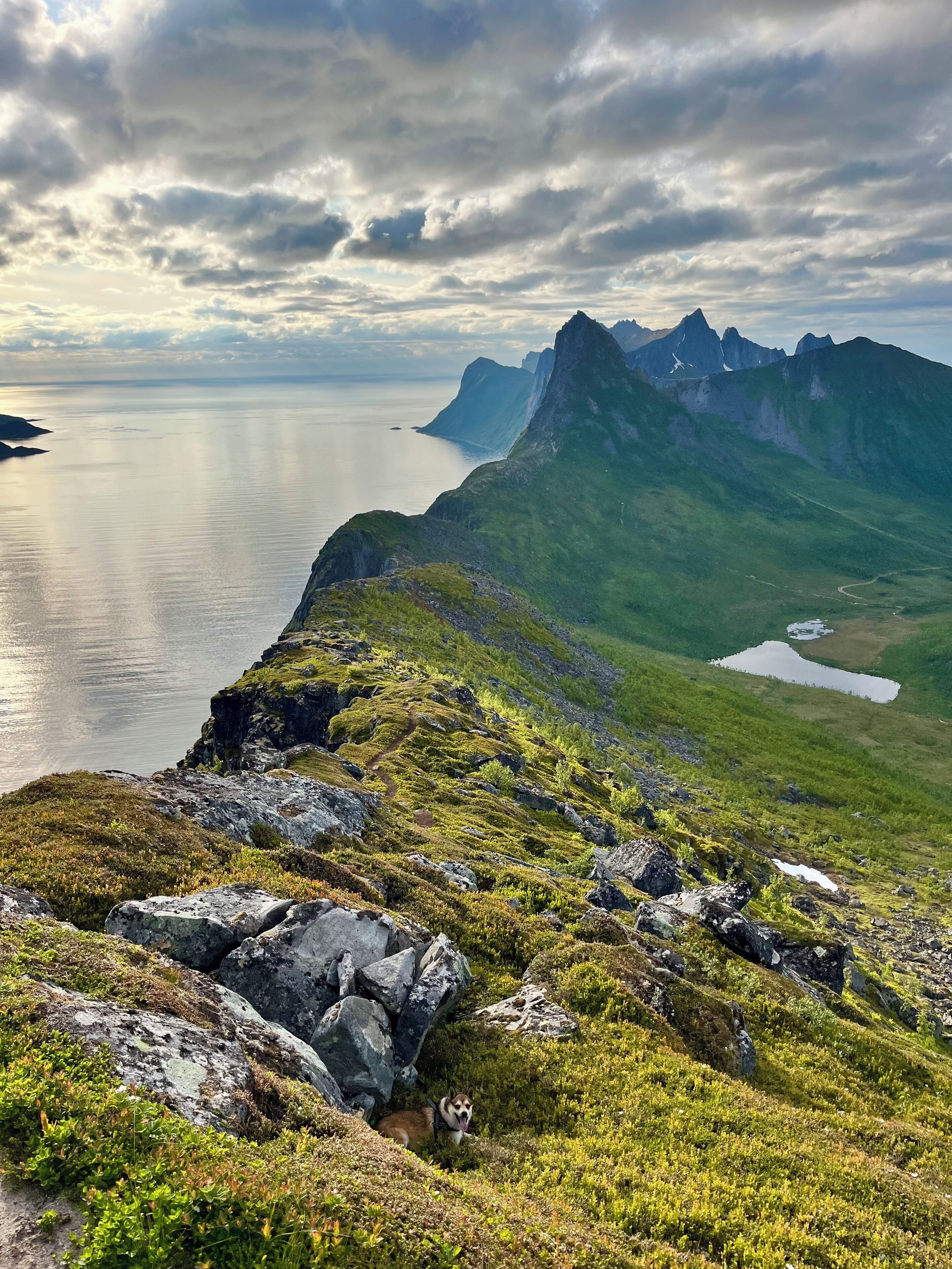 Eine Berglandschaft mit einem Gewässer, felsigem Gelände und einem Hund im Vordergrund.