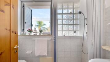 Shower, hair dryer, towels